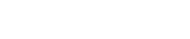 StrategyQuant X logo